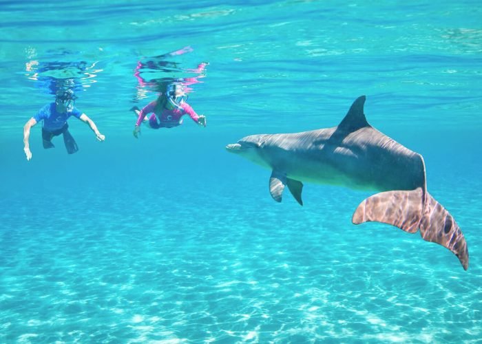 great-photo-of-two-people-with-a-dolphin-underwater